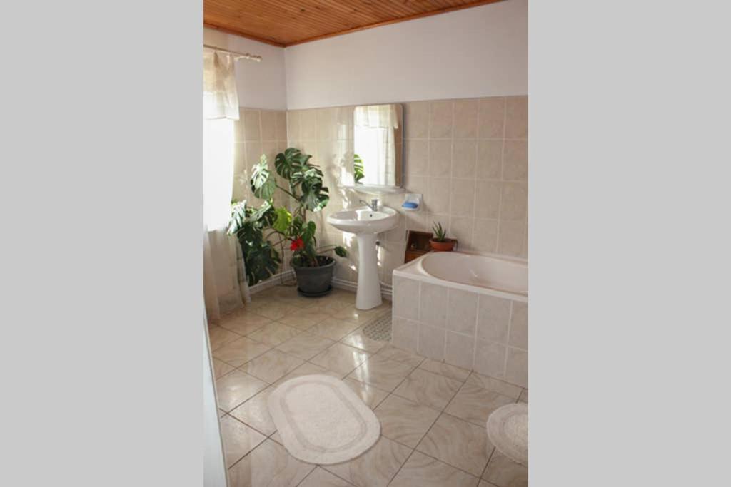 Vila Cozy, Panorama Superba, Gratar Si Relaxare Piatra Neamţ エクステリア 写真