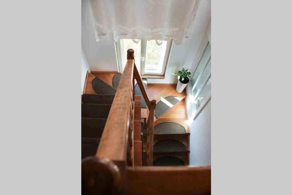 Vila Cozy, Panorama Superba, Gratar Si Relaxare Piatra Neamţ エクステリア 写真
