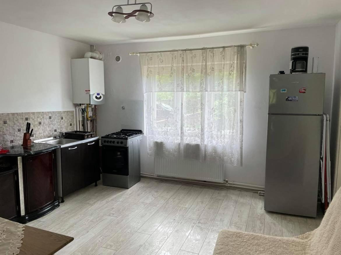 Vila Cozy, Panorama Superba, Gratar Si Relaxare Piatra Neamţ エクステリア 写真