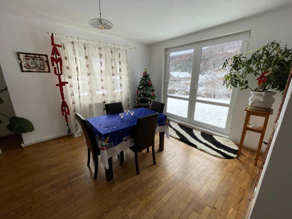 Vila Cozy, Panorama Superba, Gratar Si Relaxare Piatra Neamţ エクステリア 写真