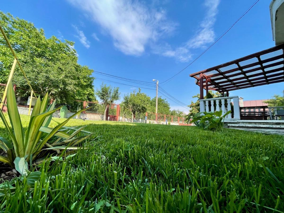 Vila Cozy, Panorama Superba, Gratar Si Relaxare Piatra Neamţ エクステリア 写真