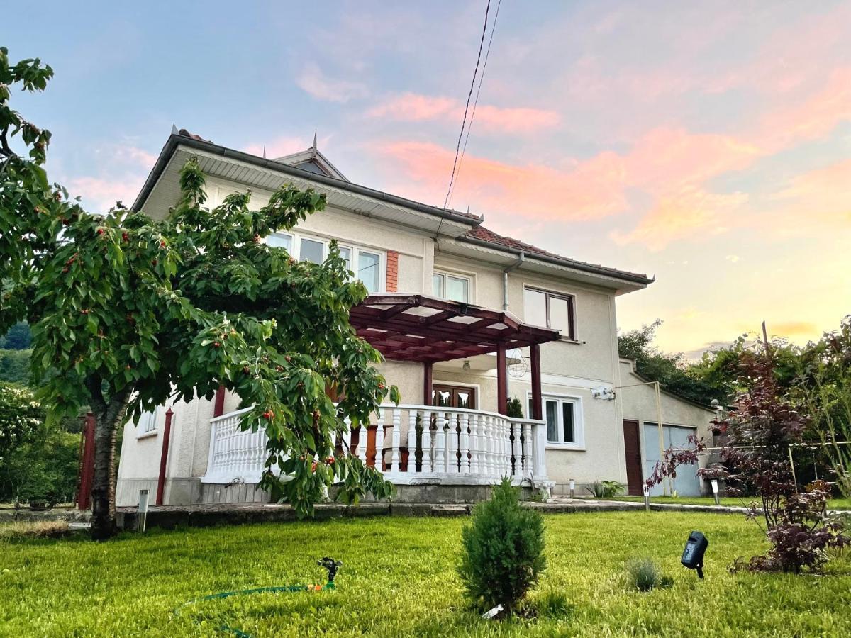 Vila Cozy, Panorama Superba, Gratar Si Relaxare Piatra Neamţ エクステリア 写真