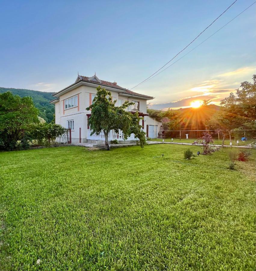 Vila Cozy, Panorama Superba, Gratar Si Relaxare Piatra Neamţ エクステリア 写真